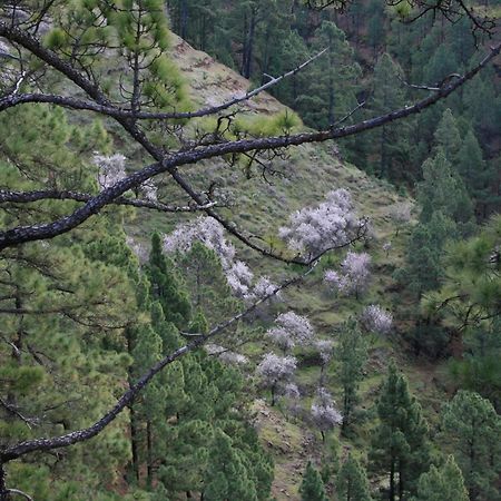 Casa Rural El Riachuelo Garafía Εξωτερικό φωτογραφία