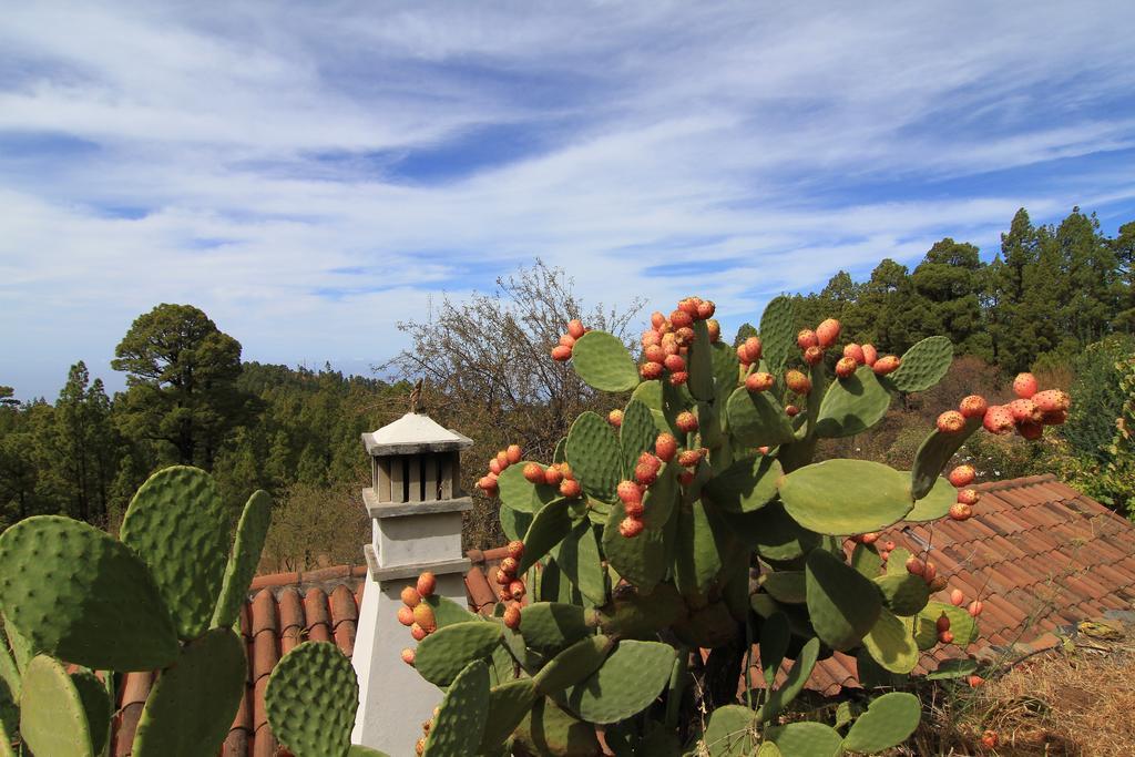 Casa Rural El Riachuelo Garafía Εξωτερικό φωτογραφία